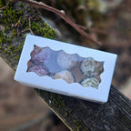 VITAL NAMA Truffles