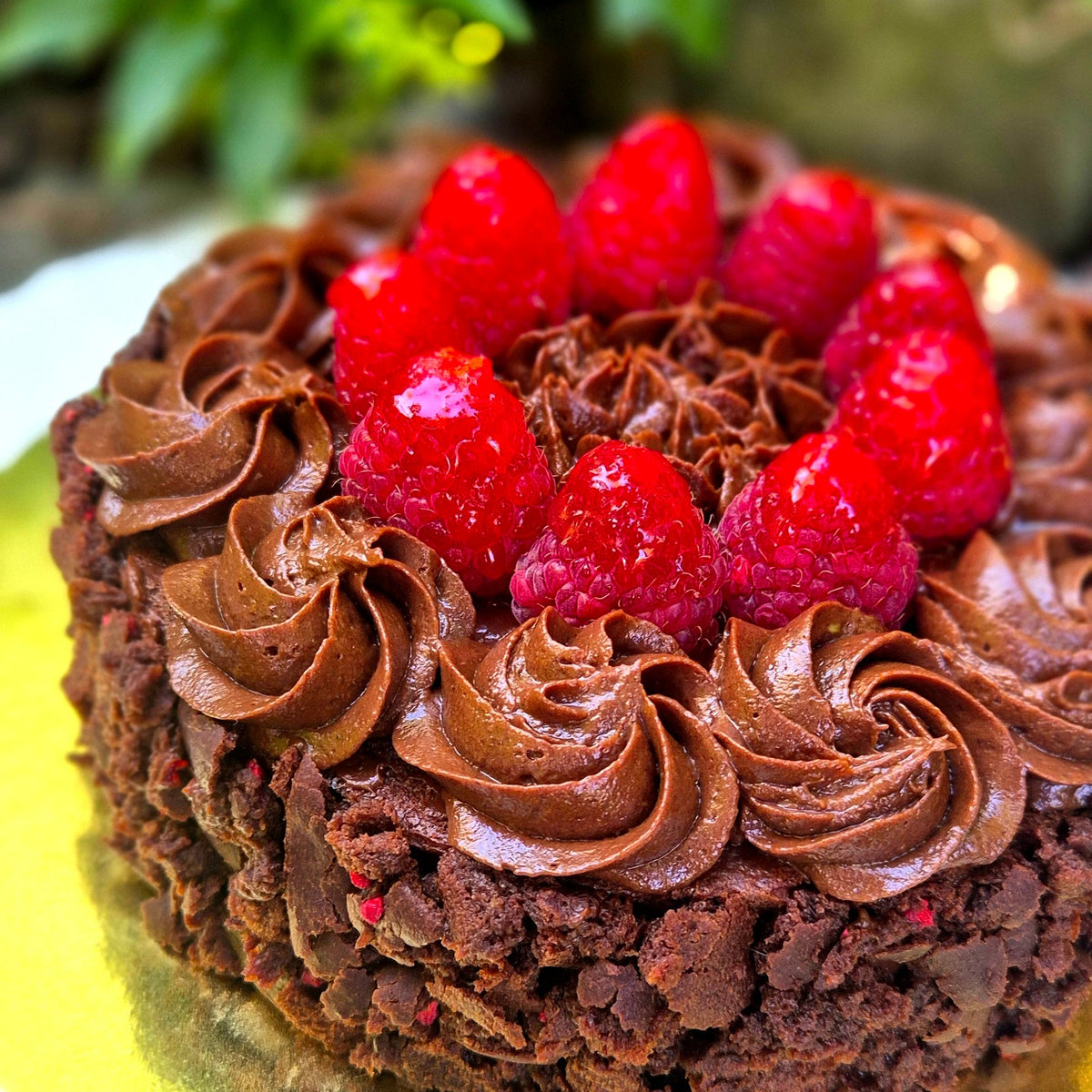 Avocado Brownie